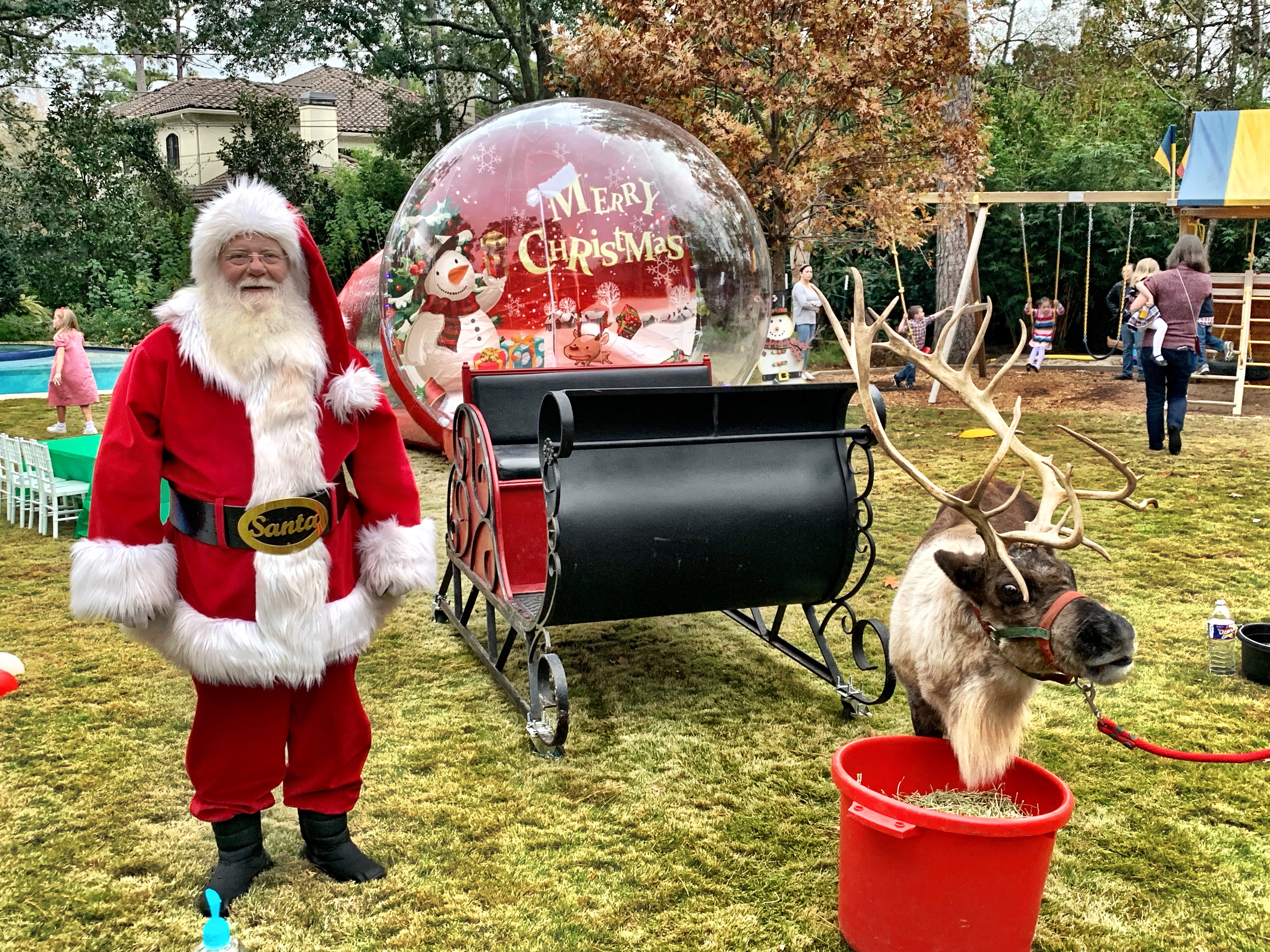 live reindeer with santa and sleigh